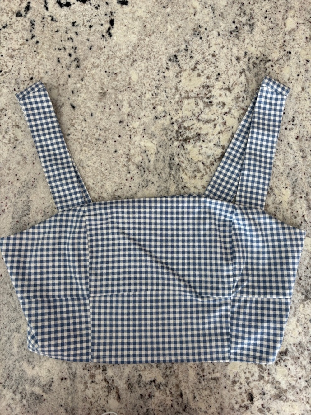 Lulu's Blue Gingham Cropped Tank